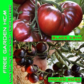 20 HẠT GIỐNG CÀ CHUA BLACK KRIM / INDIGO ROSE - Johnny’s Seed – Mỹ