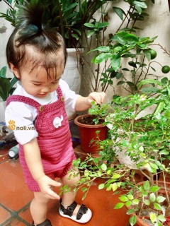 Set len móc yếm cho bé