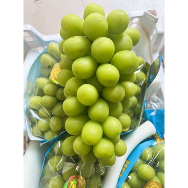 NHO MẪU ĐƠN SHINE MUSCAT SIÊU NGON NGỌT THƠM (Nguyên Chùm Rất To 1,2-1,3kg)