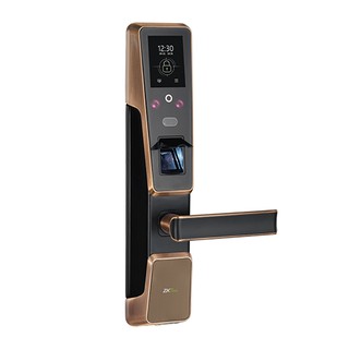 KHÓA CỬA THÔNG MINH ZKTECO ZM100
