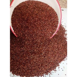 Hạt Ngũ Hoa ( loại hạt to,nâu vàng 1kg)