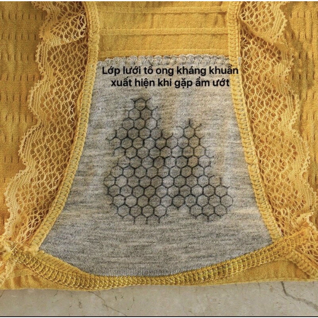 Quần lót cotton nữ kháng khuẩn thoáng mát, quần chip nữ dệt kim đính nơ xinh tôn vòng 3 gợi cảm thông hơi co giãn 4 chiề