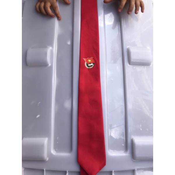 Cà vạt đoàn nam và nữ