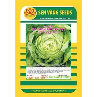 10Gr Hạt giống Rau Xà lách Búp SV 101 Năng suất chịu nhiệt