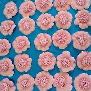 Hoa Cài Áo Nhỏ Xinh