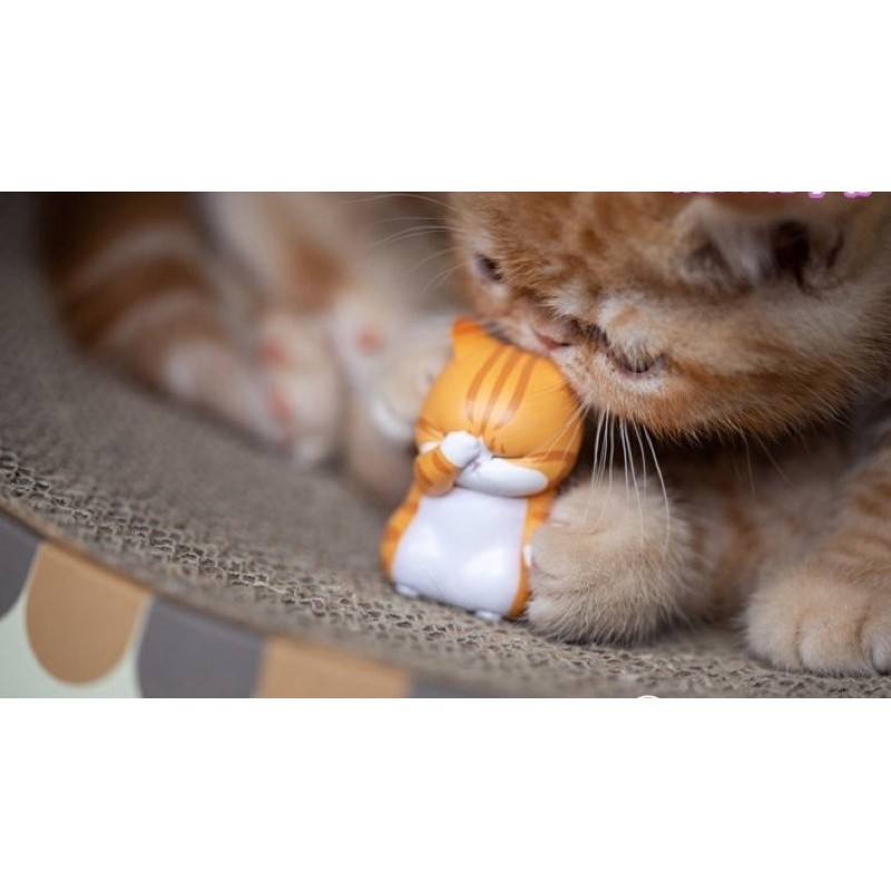 Mô hình mèo đau khổ mini mèo ôm đầu tsum tsum