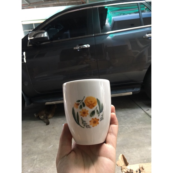 Ly sứ cao cấp hàng donghwa