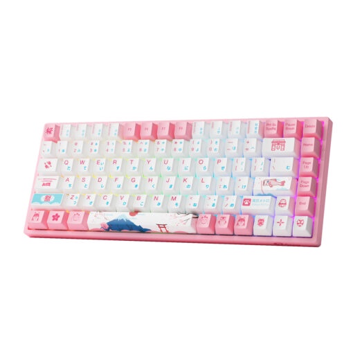 Bàn phím cơ AKKO 3084B Plus World Tour Tokyo R2