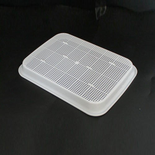 5 Khay trồng rau mầm, giá đỗ thuỷ canh chuyên dụng