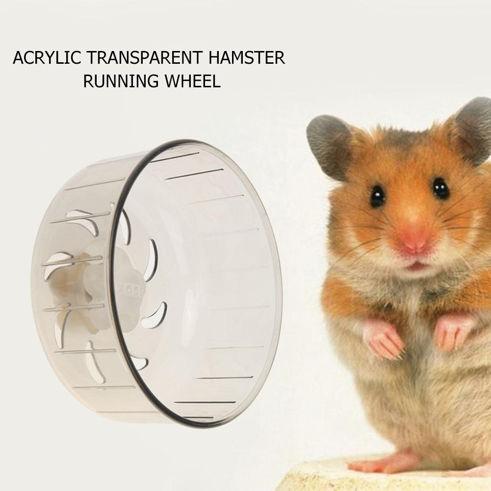 Bánh xe chạy trong suốt cho chuột hamster
