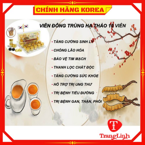 Viên đông trùng hạ thảo Bio thượng hạng, hộp 10 viên - Viên hoàn đông trùng hàn quốc - tranglinhkorea