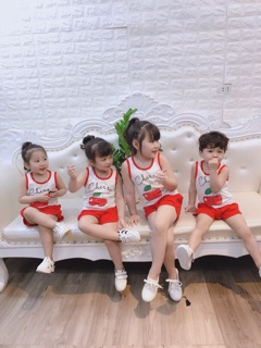 Bộ hoa quả sỉ 3x