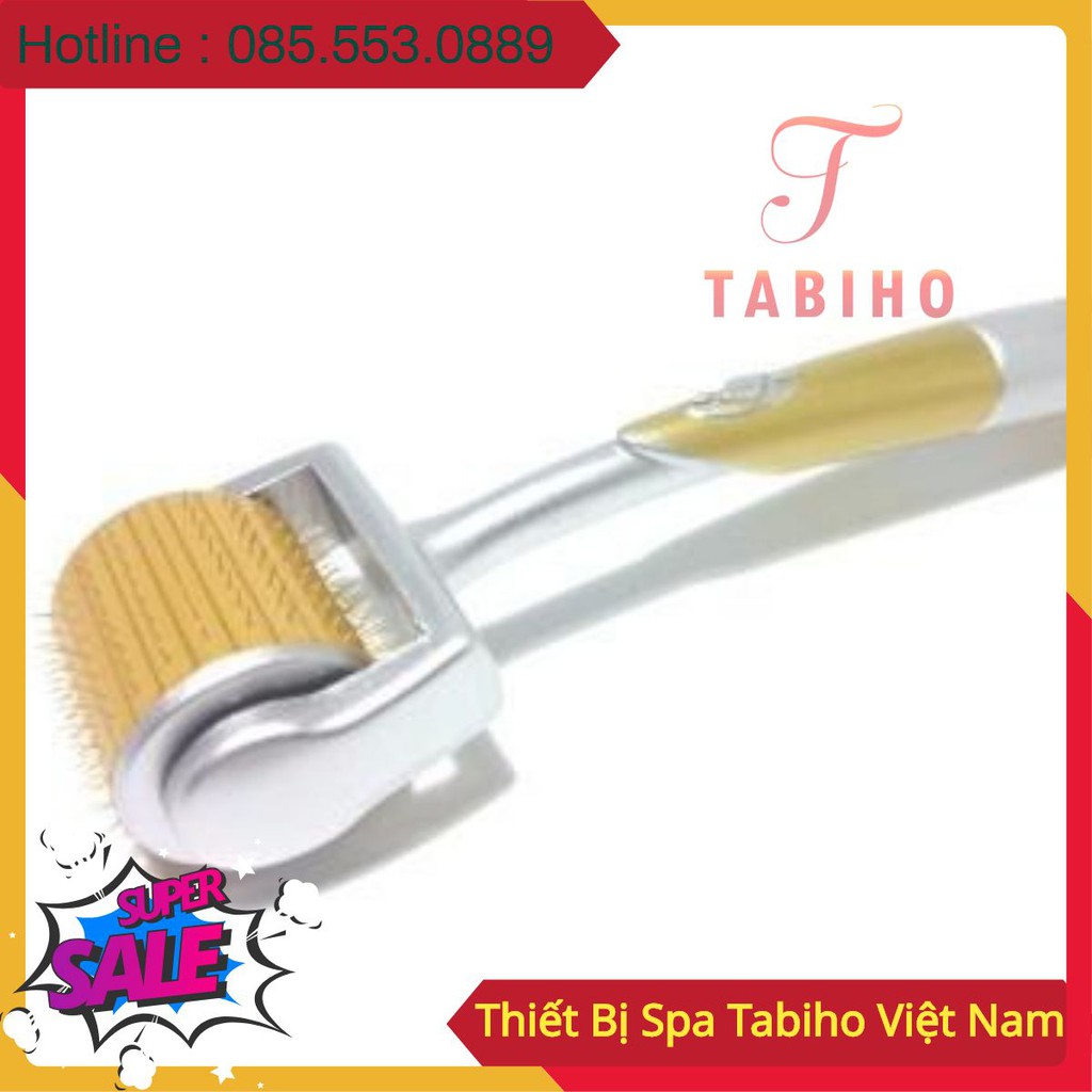 Cây lăn kim vàng trị sẹo rỗ tại nhà - Chính hãng