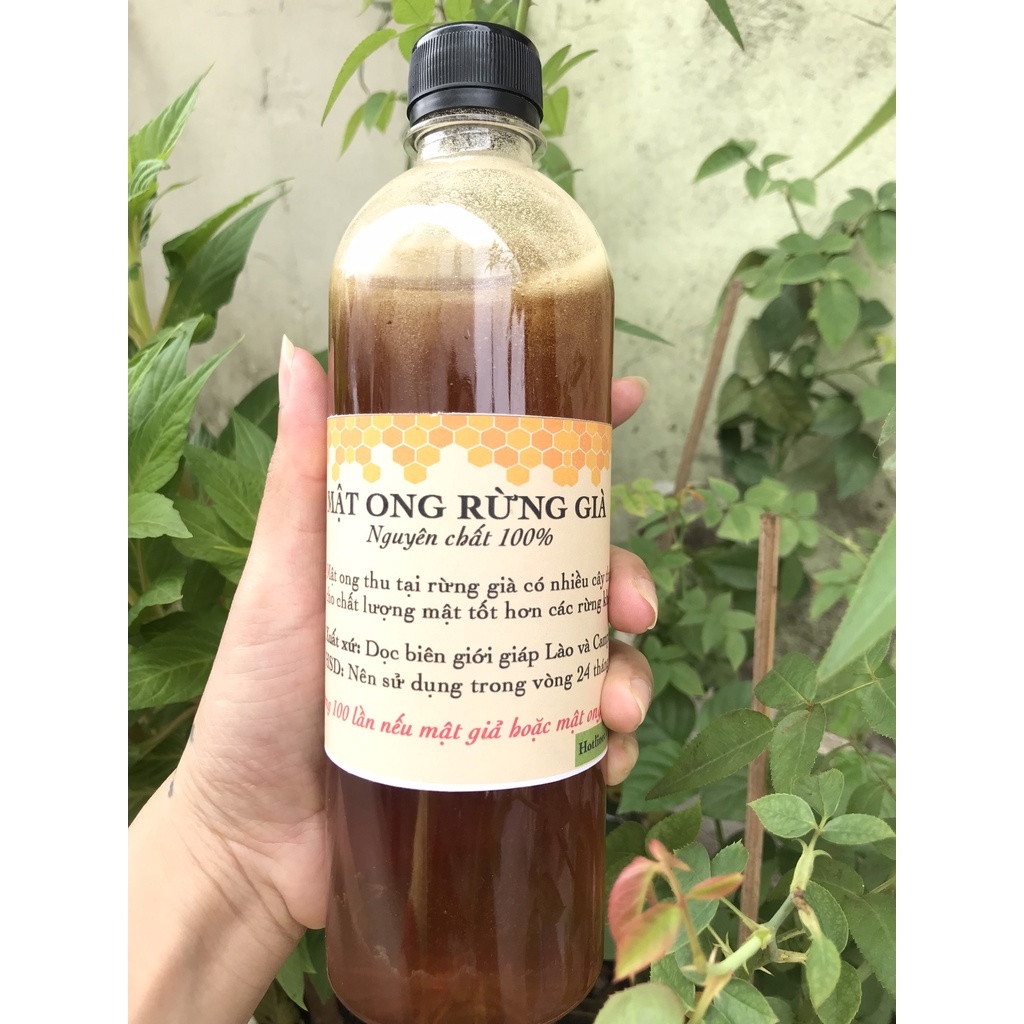 Mật Ong Rừng Già Tự Nhiên - Không Phải Ong Nuôi, Không Pha Tạp Chất