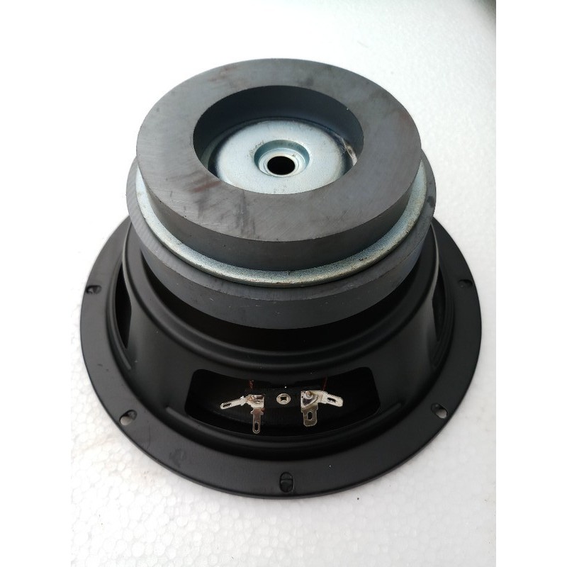 BASS 20 TỪ KÉP * 120 - 100*  - 1 đôi