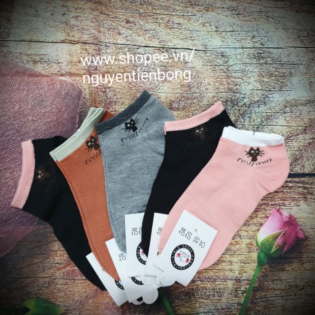 Sỉ 10 đôi tất mèo miu miu