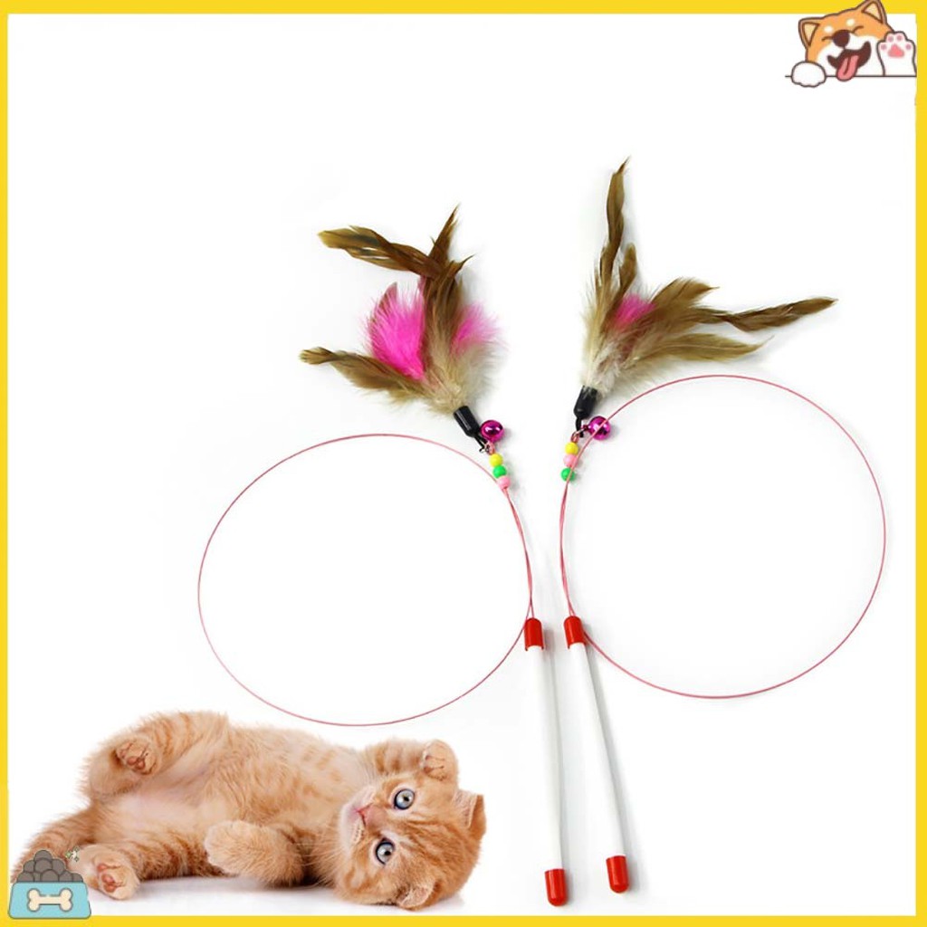Gậy lông vũ đồ chơi cho mèo