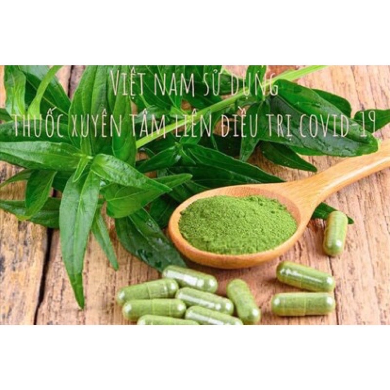 Viên Uống Xuyên Tâm Liên - Hỗ Trợ  Cảm Cúm