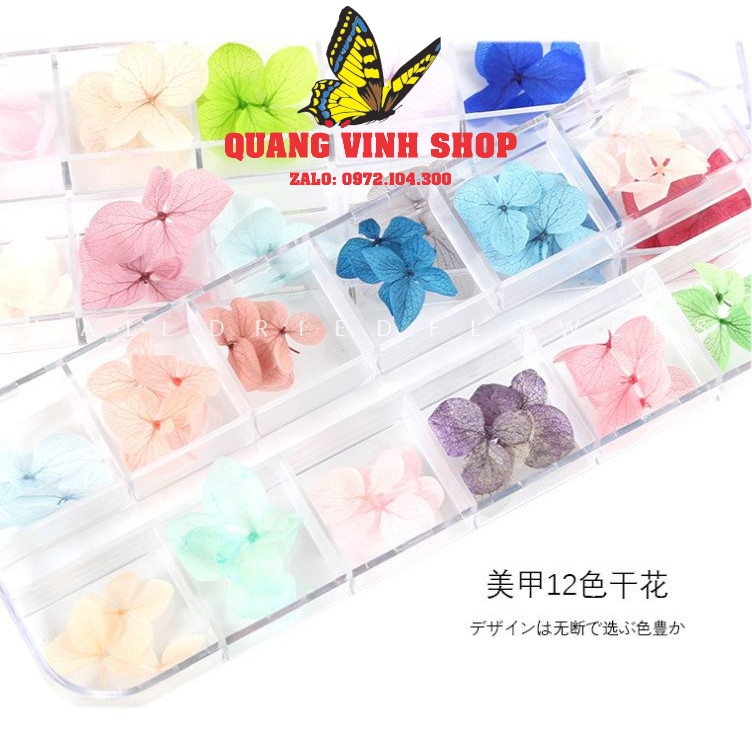 Sét 12 màu hoa khô nhật bản ẩn nail