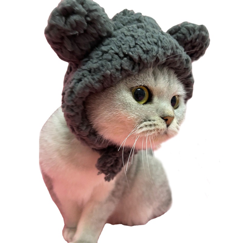 Mũ Tai Gấu / Thỏ Giữ Ấm Có Thể Điều Chỉnh Hóa Trang Dễ Thương Cho Thú Cưng / Cún Cưng /