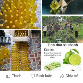 1 lọ Tinh dầu sả chanh 100ml