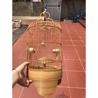 LỒNG CHIM KHUYÊN DŨI DỪA