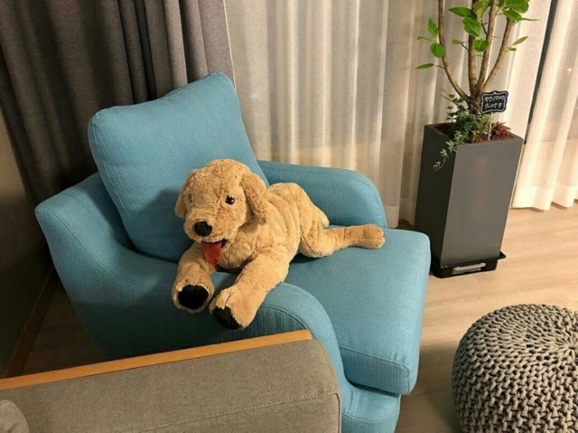 Chó bông 70cm GOSIG GOLDEN IKEA chính hãng