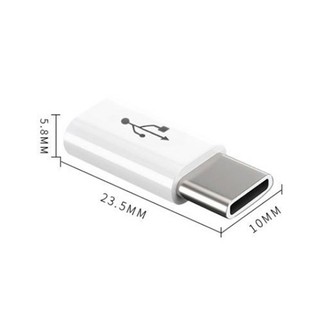 Đầu Chuyển Đổi USB Type C OTG Sang Micro USB 1