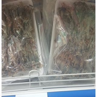 Khô nhái Bà Giáo Khỏe - 55555 [Châu Đốc - An Giang