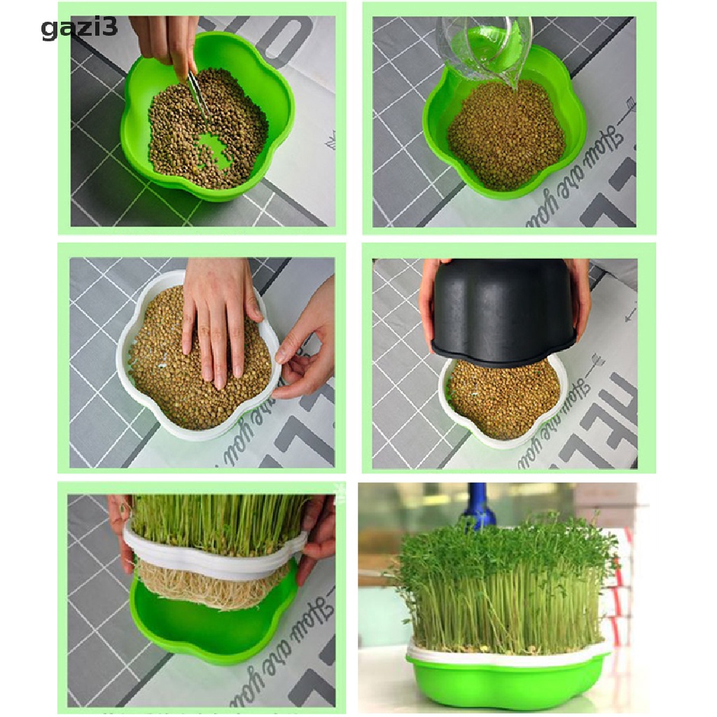 Hộp Gieo Hạt Đậu Phộng / Đậu Phộng Bằng Lúa Mạch Kèm Khay Trồng Cây Thủy Canh