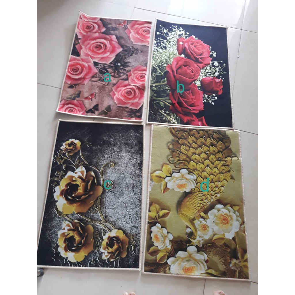 THẢM LAU CHÂN HỌA TIẾT  CHỐNG TRƠN TRƯỢT( kích thước 40-60cm)