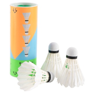 BỘ 2 VỢT CẦU LÔNG DELI F2101