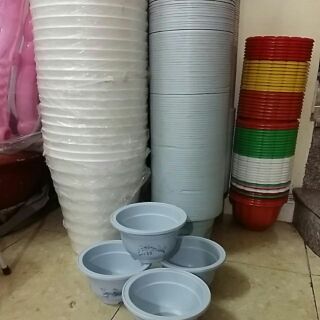 15 chậu trồng cây 20cm