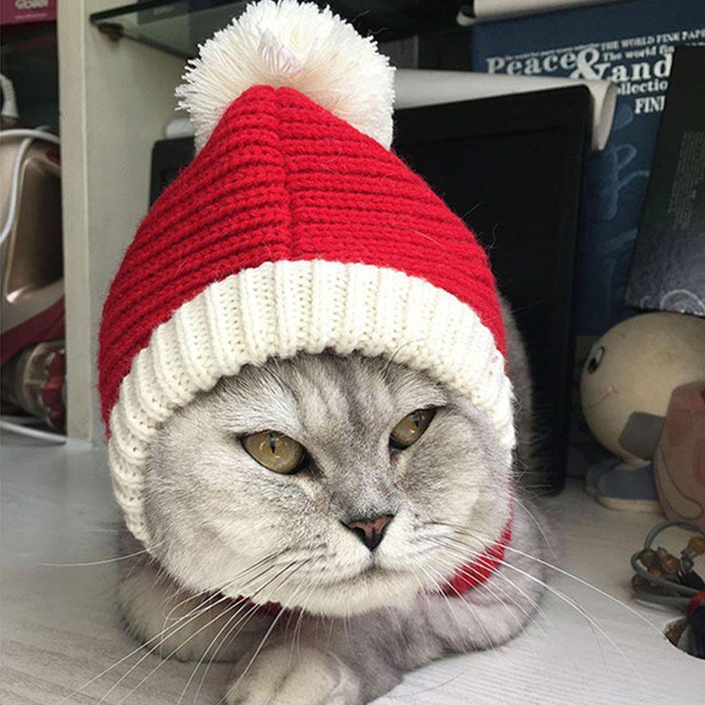 Btlimer Mũ Đội Đầu Dành Cho Thú Cưng