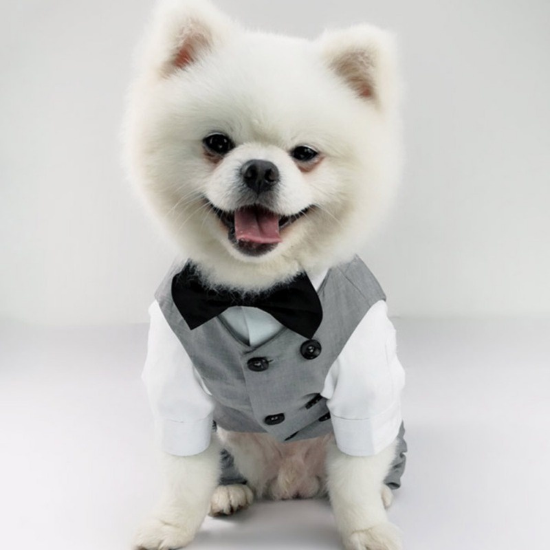 Áo Vest LịCh Sự Cho Thú Cưng