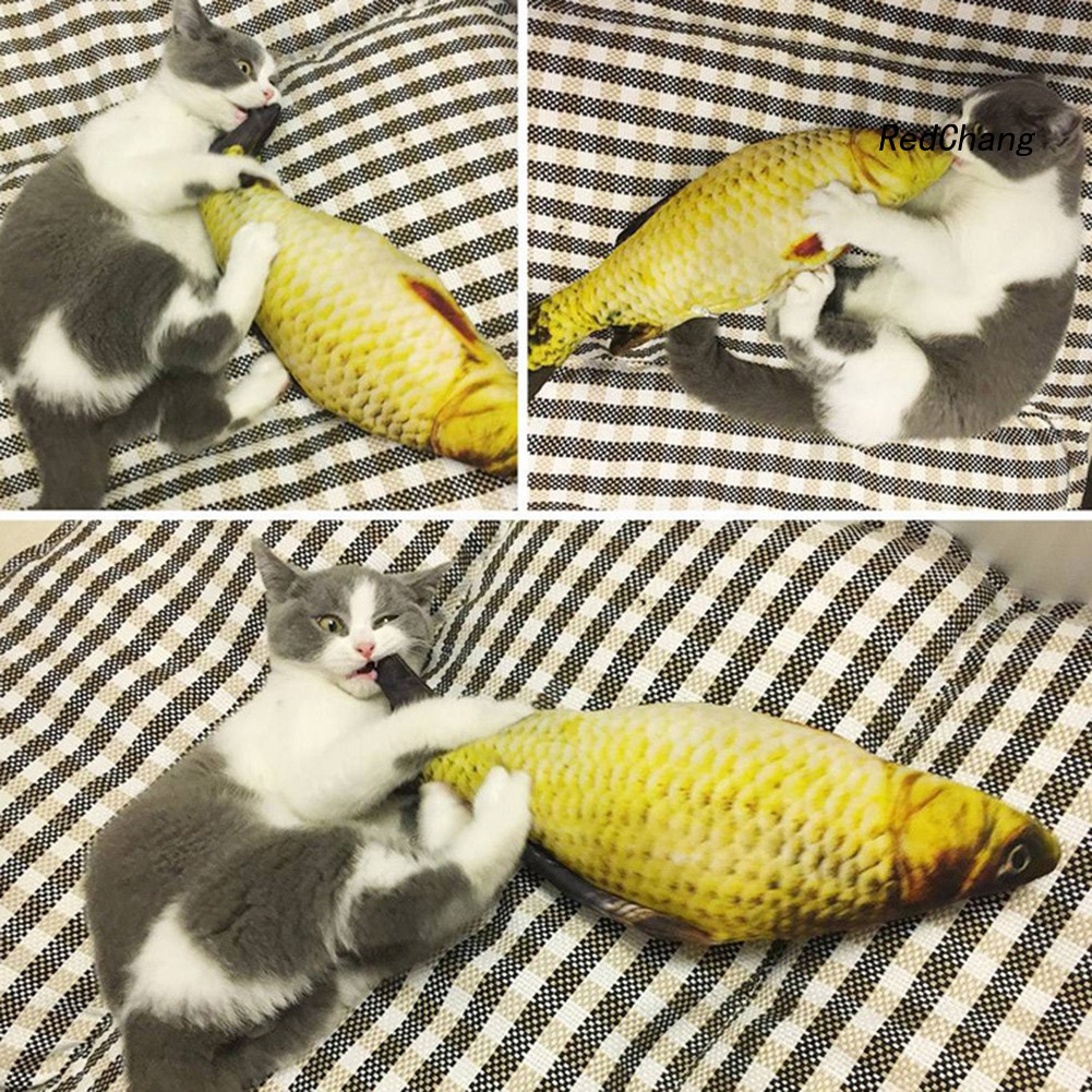 Cá Nhồi Bông Đồ Chơi Cho Mèo Cưng