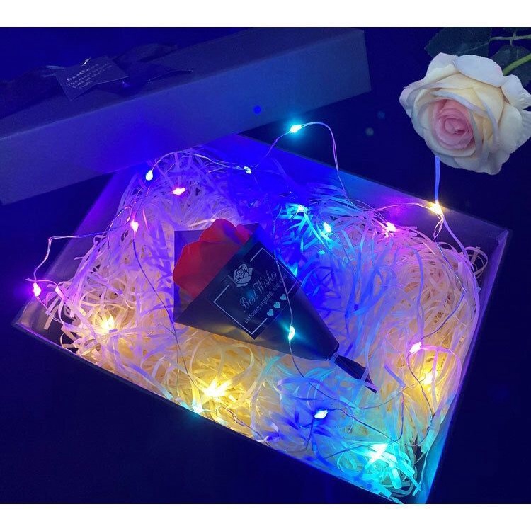 Dây Đèn LED 3 Chế Độ Chạy Bằng Pin Bao Gồm Bong Bóng BOBO