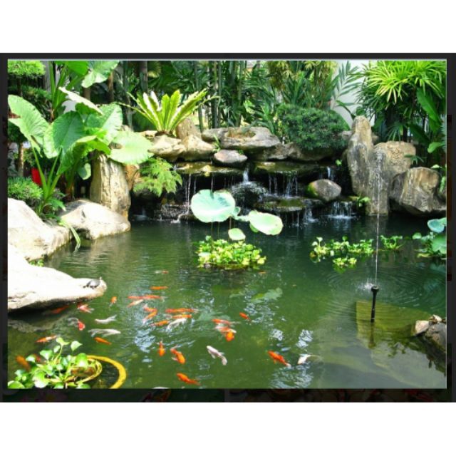 Tranh Lụa dán tường 3D hồ cá Koi