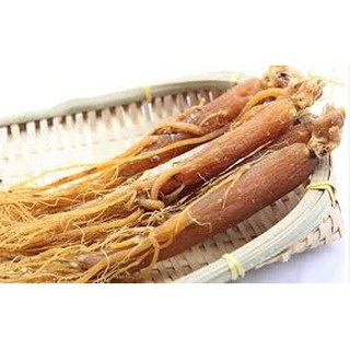 [FREESHIP 99K TOÀN QUỐC]NHÂN SÂM LOẠI 1 - 100Gr MÓN QUÀ CHO SỨC KHỎE