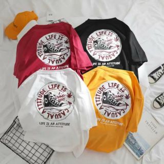 CHUYÊN SỈ Áo Thun Tay Lỡ 2x 3x ( ảnh thật Shop tự chup 100%)