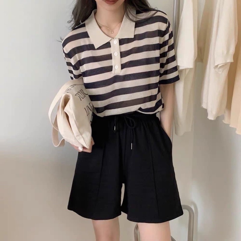 Áo polo len montogi kẻ mỏng