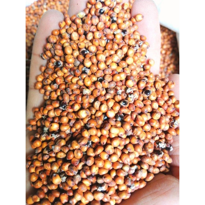Hạt bo bo đỏ 1kg