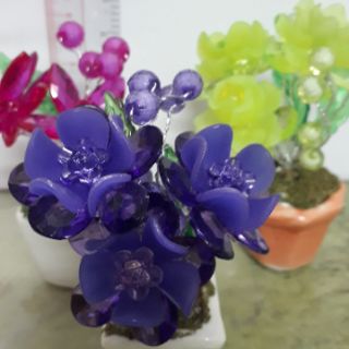 HOA PHA LÊ ĐỂ BÀN