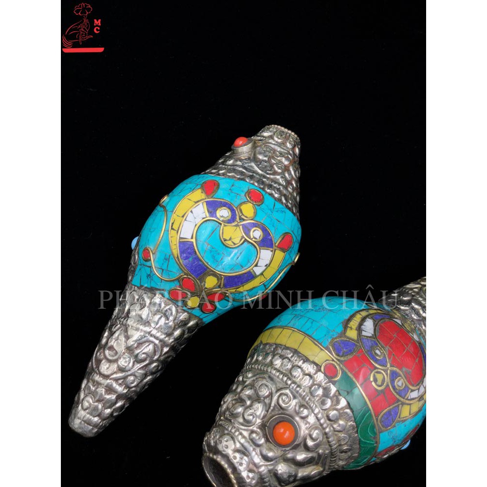 ỐC BIỂN NEPAL HOA VĂN TO