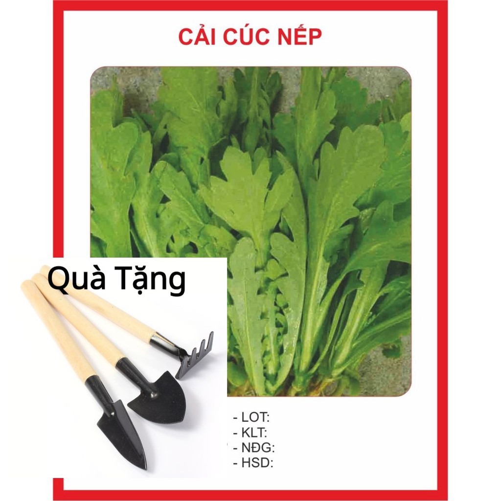 Hạt giống Cải Cúc 20gram A 1. Tặng Bộ Dụng Cụ Mini Trồng Cây Tặng Bộ Dụng Cụ Mini Trồng Cây
