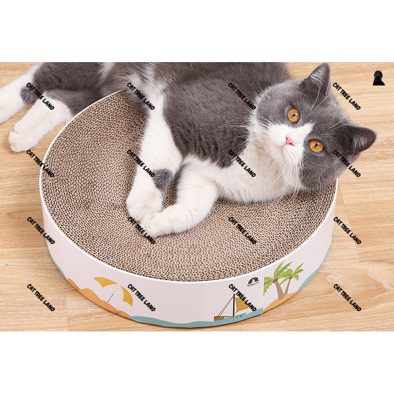 BÀN CÀO MÓNG CHO MÈO TẶNG KÈM CATNIP - TRỤ CÀO MÓNG (CATTREE) - ĐỒ CHƠI MÀI MÓNG CHÓ MÈO, THÚ CƯNG