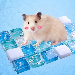 TẤM NGỦ LẠNH LÀM MÁT CHO HAMSTER