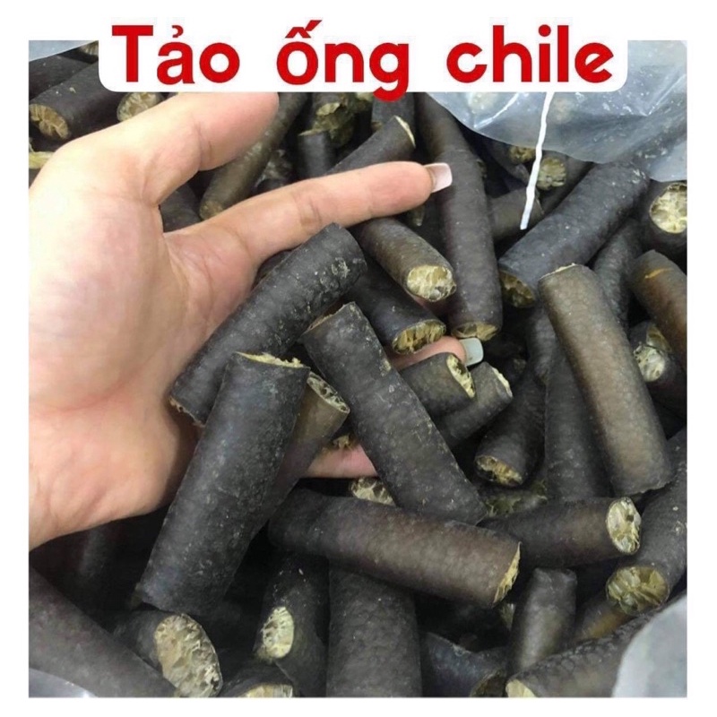 RONG BIỂN CHILE 🇨🇱 Xoắn và Ống( 200gr-500gr- 1 kg)