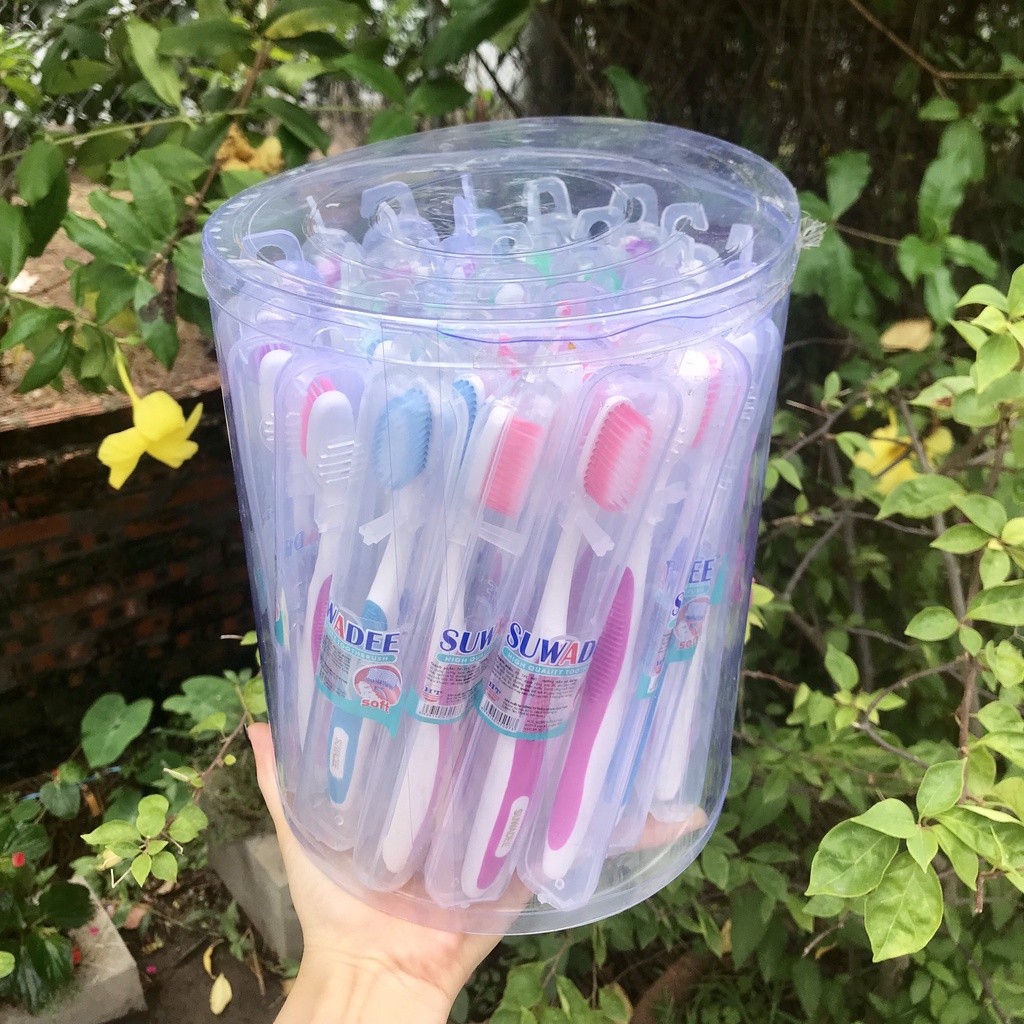 Hộp 30 Chiếc Bàn Chải Đánh Răng SUNREE Thái Lan Hộp Có Móc Treo Nhiều Màu