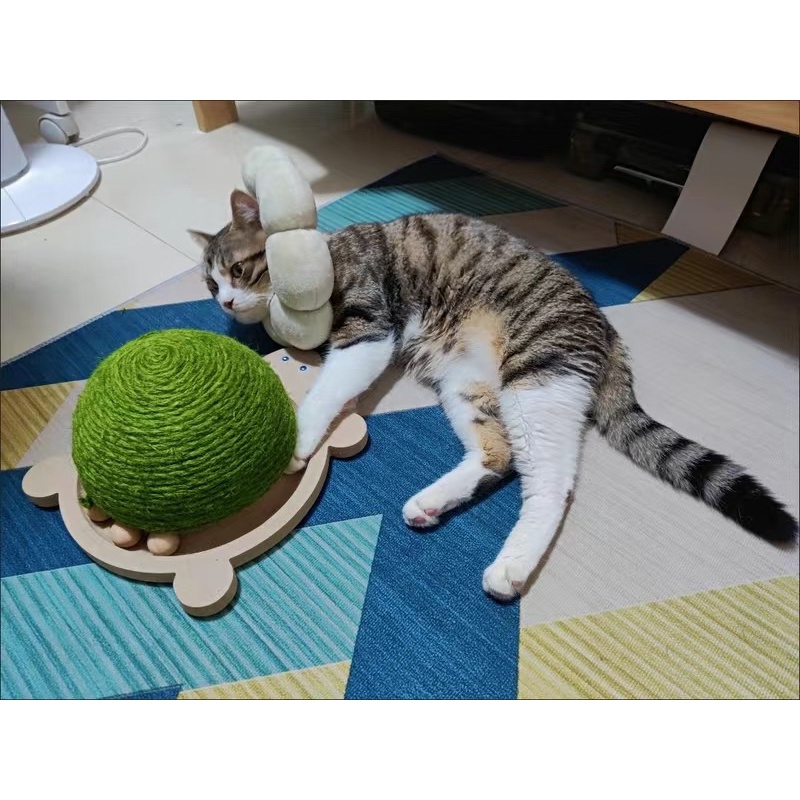 Cào móng hình con rùa cho mèo🐢